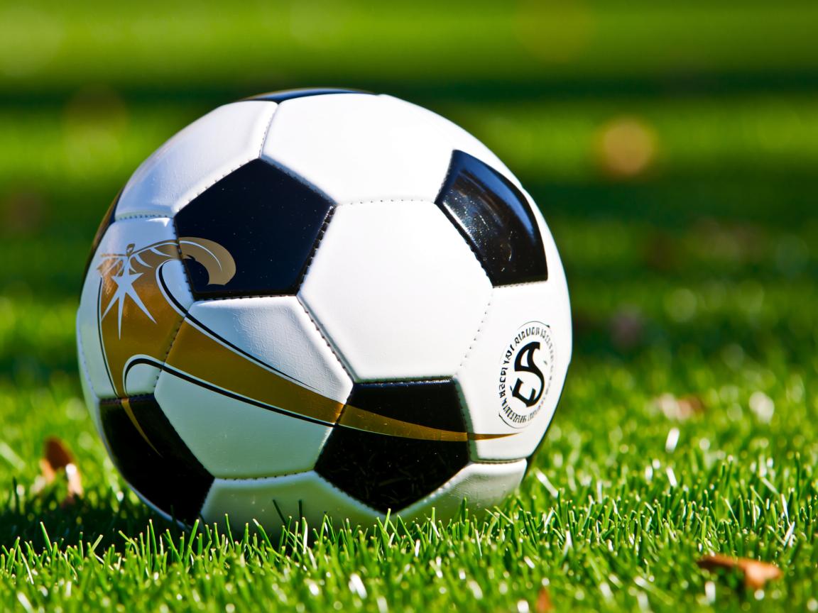 爱游戏体育app-“世界武术冠军巅峰对决，高新体育中心剑拔弩张”  第3张