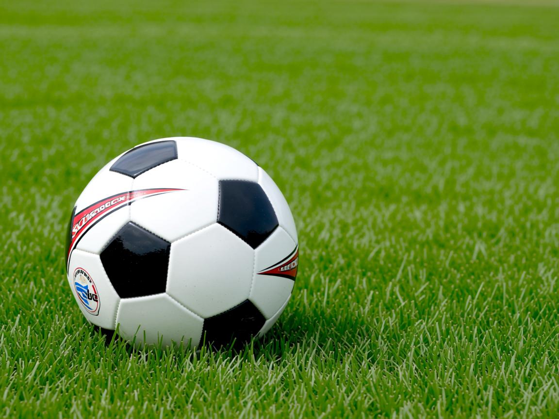 爱游戏ayx-校园篮球裁判培训体系为何缺位,校园篮球裁判的发展现状分析 第3张