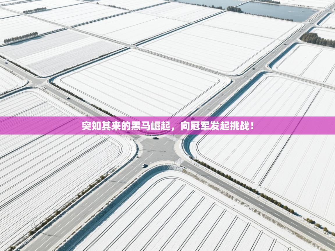 突如其来的黑马崛起,向冠军发起挑战! 第2张